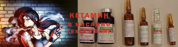 стаф Белокуриха