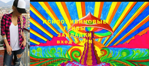 2c-b Медногорск
